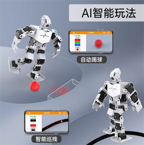 Biomimetic Humanoid Robot TonyPi 5/4B-4G